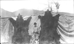 Austin Cook, Grizzly Bear Hunting, Blue River, BC Canada - Historical